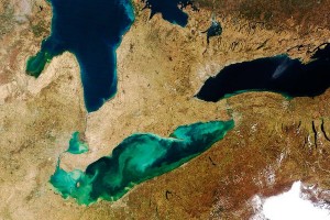 Algae Bloom from Space