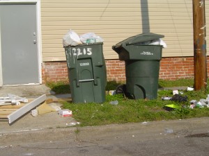 litter3