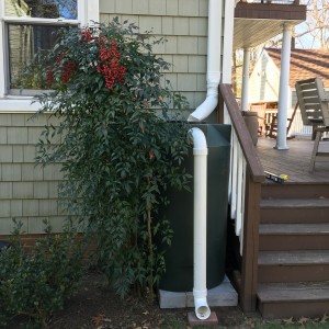 rain barrel-norfolk