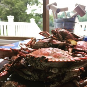 crab-896481_960_720