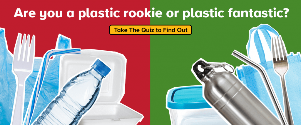 Are you a plastic rookie or plastic fantastic?
